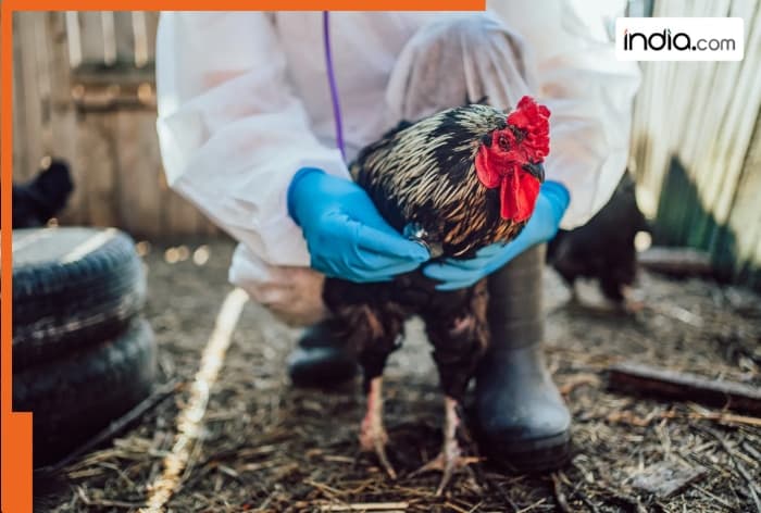 Amid Bird Flu concerns, US reports its first human H5N5 death